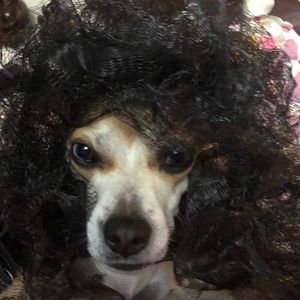 Meet your Posher, Devi